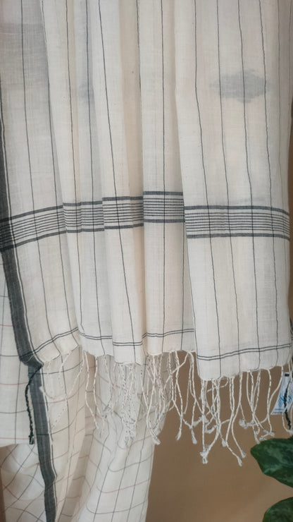 Chandrakosh - White Bengal Handloom Cotton Saree